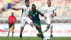 2025世俱杯十二大球场巡礼：马竞成“大冤种”（2025世俱杯12大场馆一览：马竞成最大苦主）