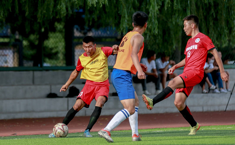 乒乓球混团世界杯｜未派最强阵容，玩起田忌赛马，韩国队没给国乒带来任何威胁（乒乓球混团世界杯｜韩国队非最强出战玩田忌赛马，仍未对国乒构成威胁）